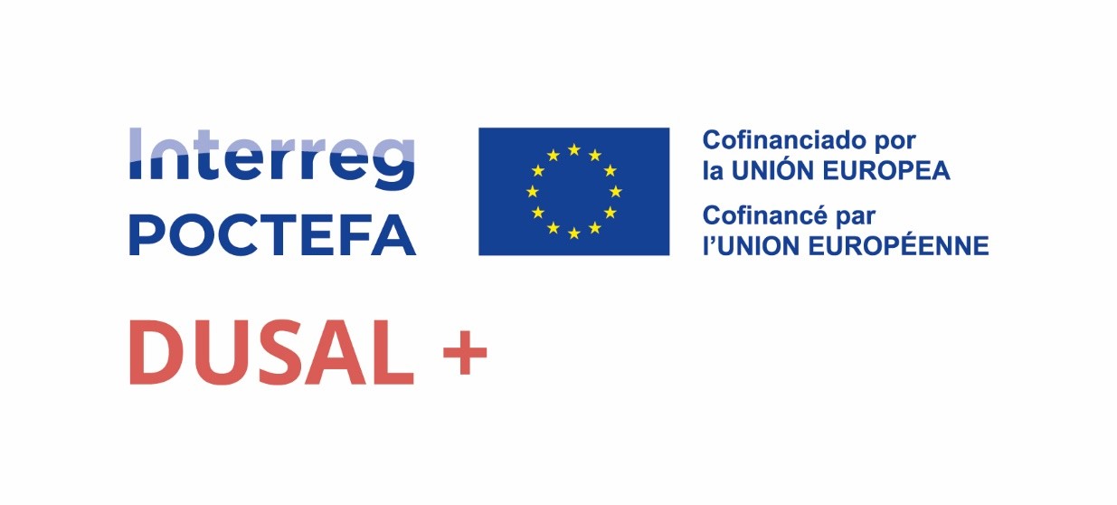 logo poctefa dusal +