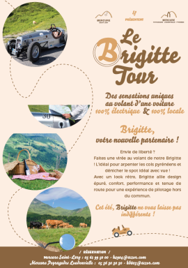 visuel brigitte
