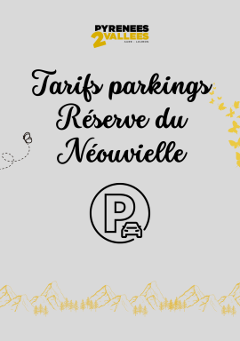 visuel parking néouvielle