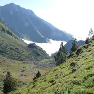 Réserve d'Aulon REMI LAFITTE