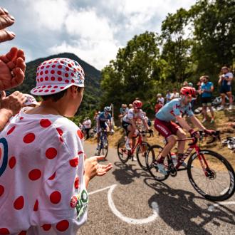 TDF