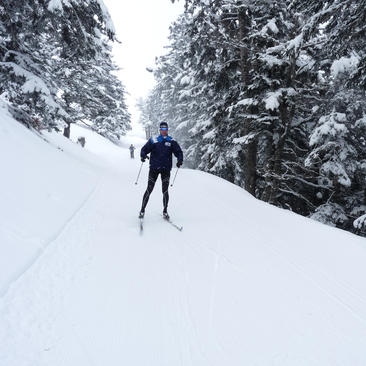 Cross-country skiing and Nordic areas