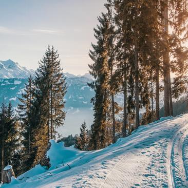 Learn cross-country skiing in the Pyrenees