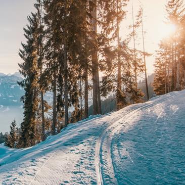 Saint-Lary-Soulan