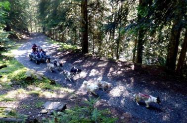 Rando-Aventure en kart - Le Repaire des Huskys