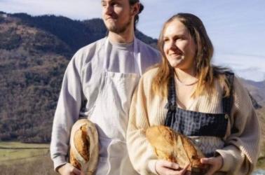 pain des bois producteur cazaux frechet