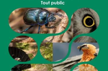 Affiche RNR Fête de la Nature - 1 Affiche RNR Fête de la Nature - 1