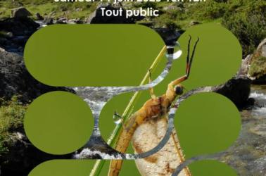 Affiche RNR IBGN - 1