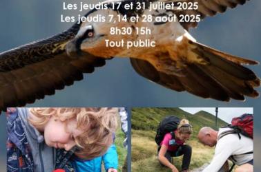 Découverte de la réserve avec un accompagnateur en montagne