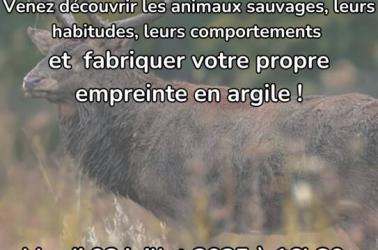 Atelier Faune Sauvage - 1