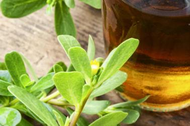 Medicinal tincture from purslane Medicinal tincture from purslane