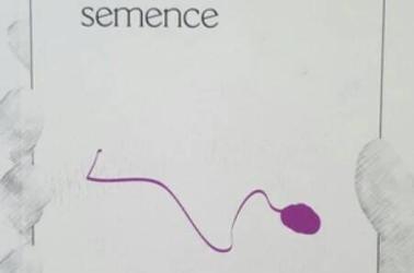 hommesemence