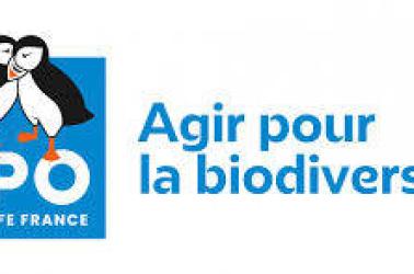 Logo LPO Logo LPO