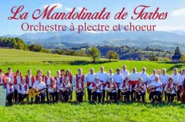 mandolinata-tarbes