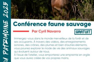 Mois du Patrimoine 2025 - 7 Mois du Patrimoine 2025 - 7
