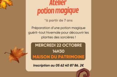 Atelier potion magique - 1