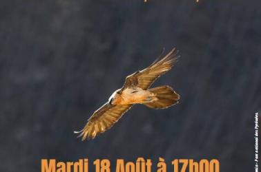 Conférence 18 08 26