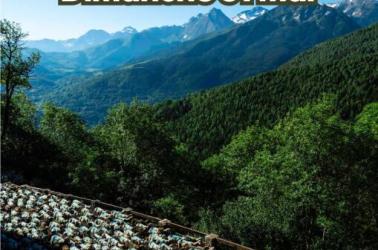 Transhumence Soulan- Tourinsoft - 1