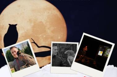 Atelier hiver 2025/2026 MDP - 16