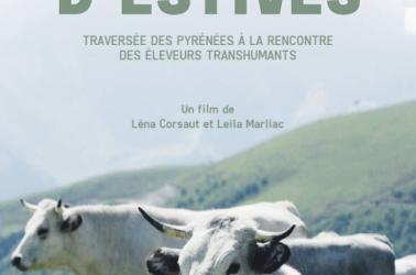 V.Mars Web - Affiche ÉCHOS D'ESTIVES