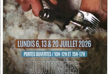 Tonte AULON