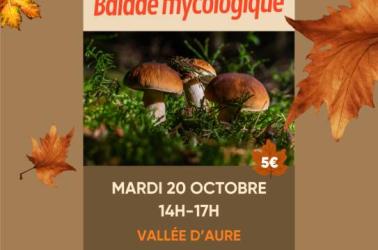 Affiches automnes Saint-Lary 2026 - conte d'automne 29 octobre