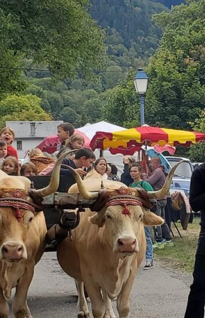 foire à guchan 